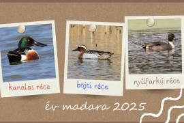 ev_madara_2025