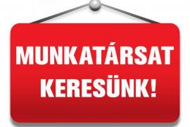 SZMCS munkatárasat keresünk!