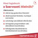 Szervezeti Alelnök 1.