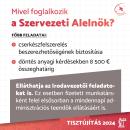 Szervezeti Alelnök 2.
