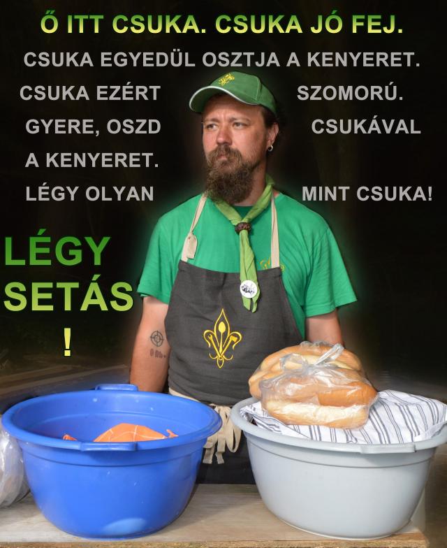 seta.jpg