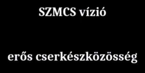 vizio.jpg