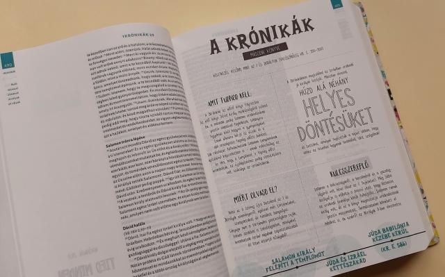 biblianeked_belso_oldalak_kronikak2_illusztracio.jpg