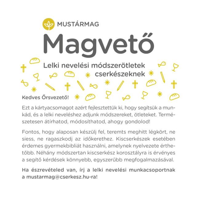 magveto.jpg