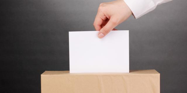 vote.jpg