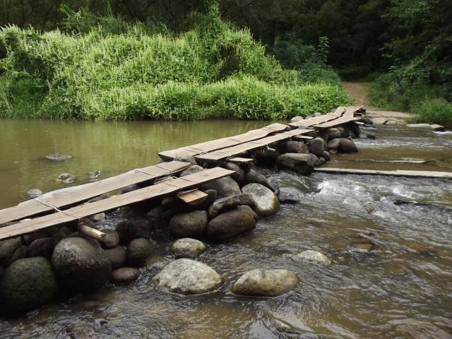 dscf6787.jpg